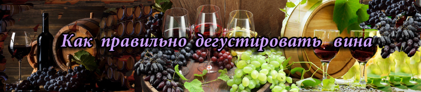 дегустация вин